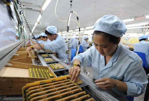 后果严重，这就是蔡英文要的学历提升